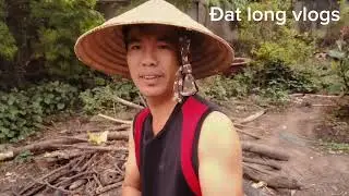 @ CÁ TRẮM KHO DƯA CHUA BẰNG BẾP CỦI
