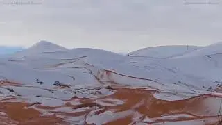 Rare snow covers Sahara Desert