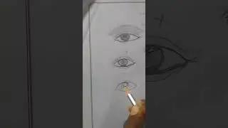Eyes draw from beginner easy step 