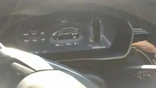 Weird Mirror Fold Issues w/ Tesla 