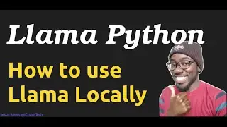 How To Use Llama LLM in Python Locally