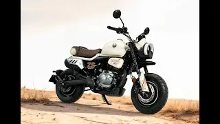 Tin nhanh 24/7 - Cận cảnh Cyclone Mini Panda 2025 ra mắt ĐN&Aacute; đối thủ Honda Monkey gi&aacute; dưới 50 triệu.
