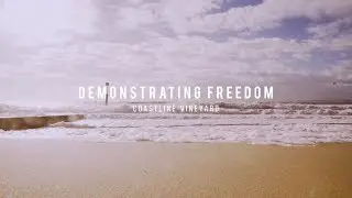 Demonstrating Freedom // Coastline Vineyard // Vineyard Stories