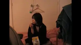 암스테르담 여행 브이로그new year in amsterdam