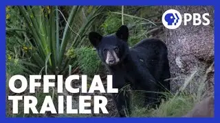 Big Bend: The Wild Frontier of Texas | Official Trailer | NATURE | PBS