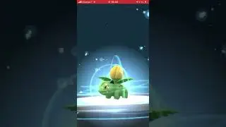 De bulbizarre &agrave; florizarre!Abonnez vous svp il me faut 50abonn&eacute;s pour faire un live!Pokemon forever!