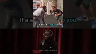 Joe Rogan & Terrance Crawford Settle MMA vs Boxing Debate