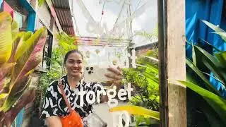 মনটা উড়ি উড়ি #dailyvlog #bambooshoot #lifestyle 