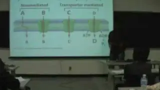 Biomembranes part I
