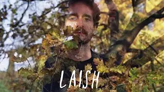 Laish - Blink of an Eye [OFFICIAL AUDIO]