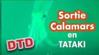 Pêche aux calamars et seiche en direct en vue sous-marine caméra WaterWolf - Tataki Eging