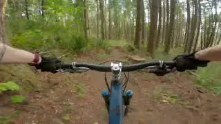 LL Stub Stewart MTB 2025
