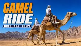 Hurghada Egypt Desert Tour | Camel Ride & Visit to Bedouin Village