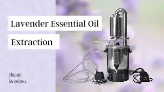 Household lavender essential oil distiller