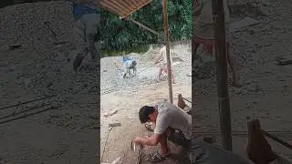 Dil Nazar #all local vlog youtube short video