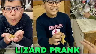 Lizard Prank On Family 🦎 Pass Ho Gaya 😂|| Chhipkali Prank 🤣|| #vlog #chhabrafamilyvlogs #arya