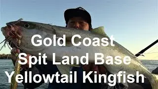 Gold Coast Spit Land Base Yellowtail Kingfish Rocky D Fishing Vol.85