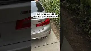 Daily Cold Starts with Lamborghini, Mercedes, and BMW