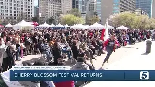 Nashville Cherry Blossom Festival draws crowds at Public Square Park