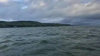 Lough Foyle Ferry, August 2018