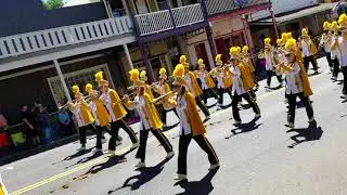 Sonora High Golden Regiment 2018 MLRP