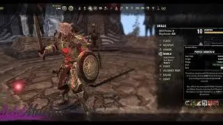 Beginner Tank Build: Drake