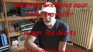 Entrainement pour les Bongos (site: cabaucongas)