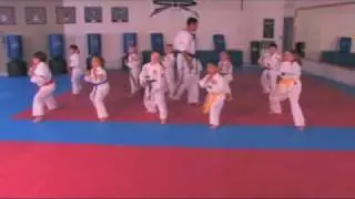 Sidekicks TV Commerical