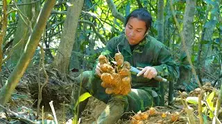 Harvesting herbs from nature - Setting traps, fishing and growing vegetables, surviving on the river