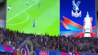 Manchester United vs Crystal Palace (1-1) Jason Puncheon Goal