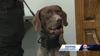 Kansas City, Kansas, police introduce new crisis team K-9