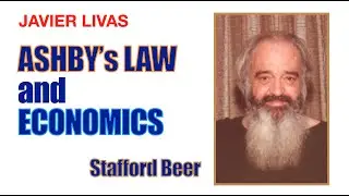 ASHBY'S LAW AND ECONOMICS