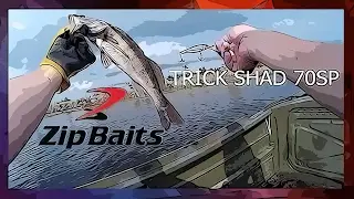 ►Рыбалка на воблер ★ZIPBAITS TRICK SHAD 70SP★