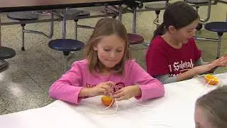 Dolphin Shine Club bird feeders