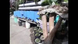 Unique landscape at home