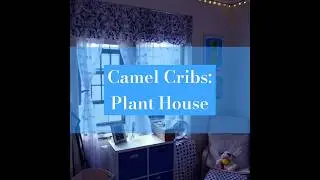🐪 Camel Cribs: Plant House