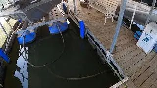 The hardest way to catch shad!