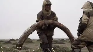 Документальный фильм 