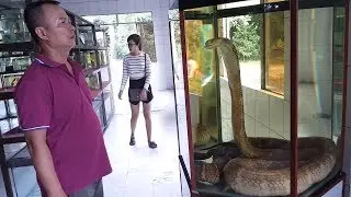 VIETNAM Travel 2018 - Dong Tam Snake Farm in Mekong Delta