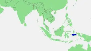 Ceram Sea | Wikipedia audio article