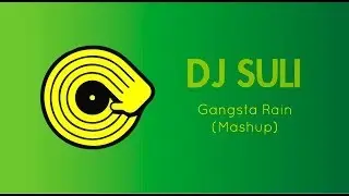 Gangsta Rain (DJ Suli Mashup)