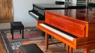 Maurice Ravel   MA MÉRE L'OYE   II. Petit Poucet