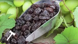 Does the Government's seizure of raisins violate the Takings Clause? (Horne v. USDA)