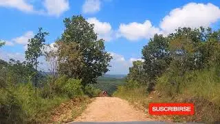 Lia. Los Herederos del Pueblo.