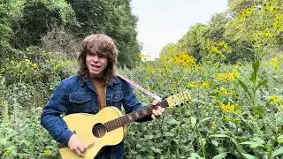 Who'll Stop The Rain