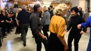 Pressapoco band a passogatto