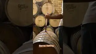 Tasting Wine from a Barrel is a different kind of Experience