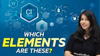 Transition Elements🌡️: What Are They? | Physics Wallah #Shorts