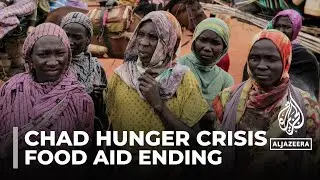 Food aid for 1.5 million people in Chad to &lsquo;grind to a halt&rsquo; soon, WFP says