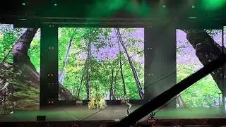 Kaméleon (Junior Gála) - Feeling Táncstúdió - Dancestar Világbajnoksàg 2024 Porec